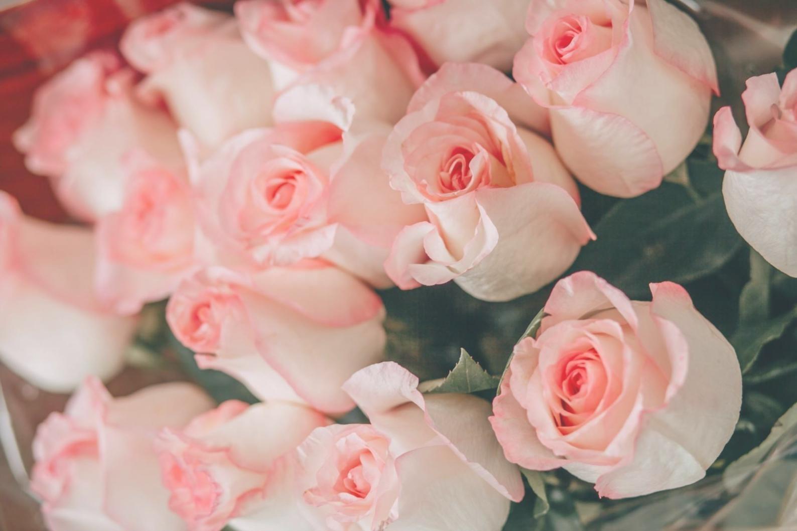 Modern office lobby featuring vertical garden installation with mixed tropical plants and minimalist ceramic planters