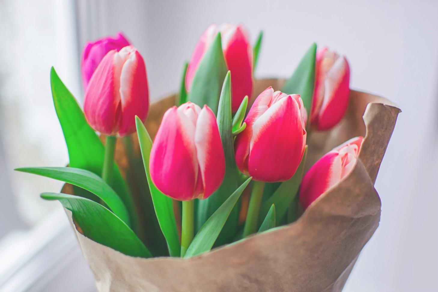 Restaurant interior with hanging plant installations and elevated greenery arrangements complementing modern dining furniture