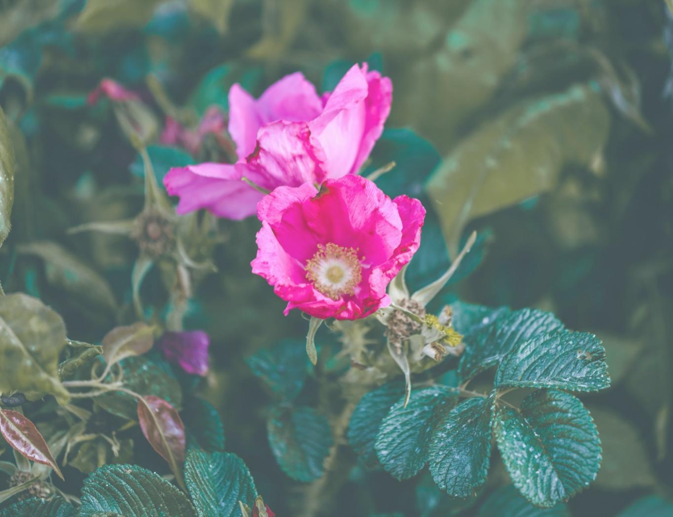 Interior plant design consultation in modern office space